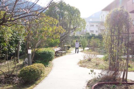 画像：アプローチの奥で散歩している人と両側に植木がある奥に立っているSJR別院の様子