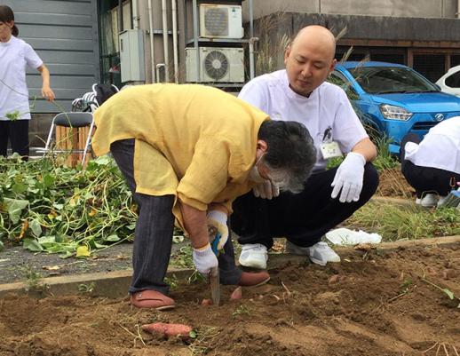 画像:施設の外にある畑で利用者がスコップでさつま芋を掘る隣で白い軍手をつけしゃがんで様子を見守る男性スタッフの様子